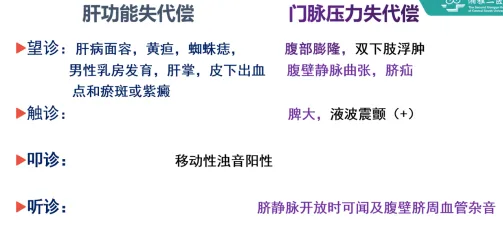 肝硬化体征总结图 (视触叩听)